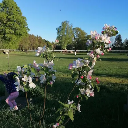 Weidmannsruh Pur - Exklusives Tiny House