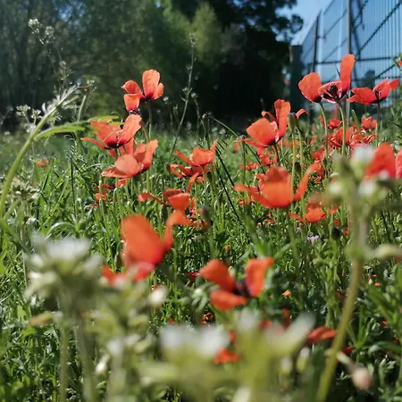 Weidmannsruh Pur - Exklusives Tiny House Casa vacanze