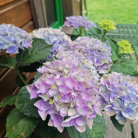 Weidmannsruh Pur - Exklusives Tiny House *