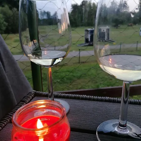 בית נופש Weidmannsruh Pur - Exklusives Tiny House *