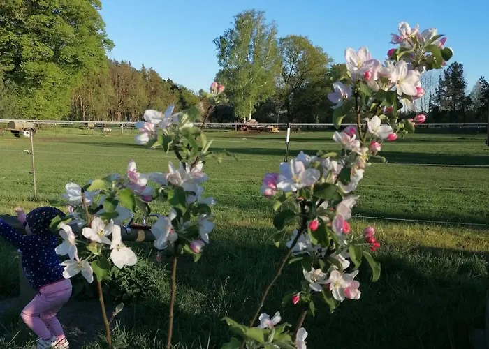 Weidmannsruh Pur - Exklusives Tiny House