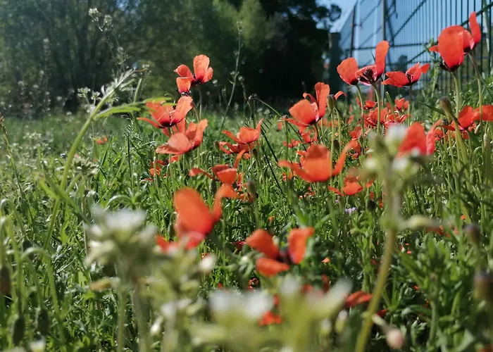 Weidmannsruh Pur - Exklusives Tiny House Сasa de vacaciones